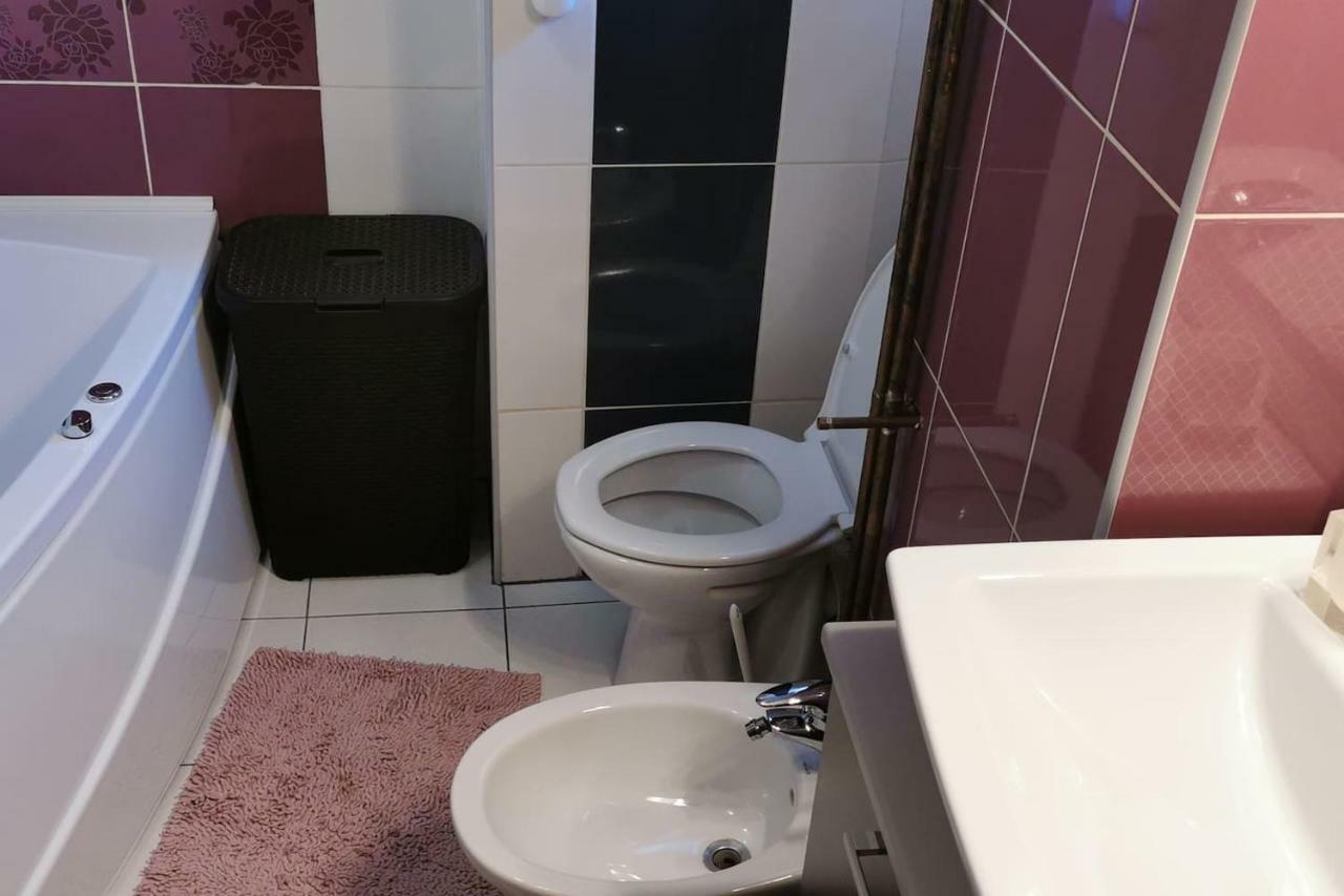 Luxury Apartment With Two Bedrooms And Large Living Room, 100 Square Meters, City Center Oradea Eksteriør billede